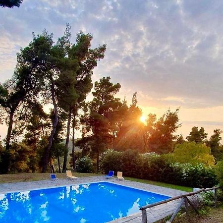 Nikol Villa Elani Сиври Экстерьер фото