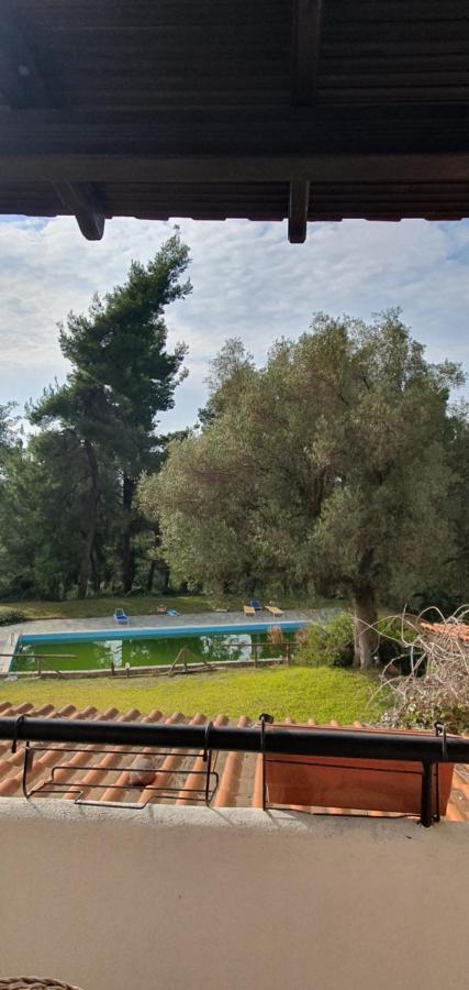 Nikol Villa Elani Сиври Экстерьер фото