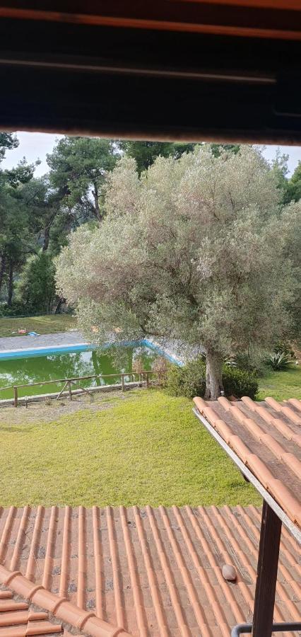Nikol Villa Elani Сиври Экстерьер фото