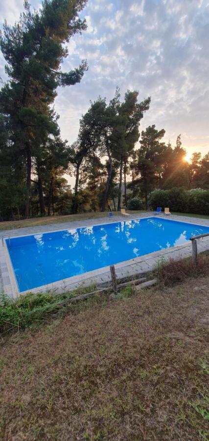 Nikol Villa Elani Сиври Экстерьер фото